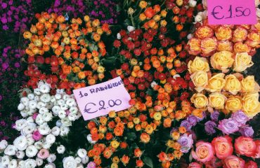 unsplash-cicek-fiyatlari-fiyatlar-siparis